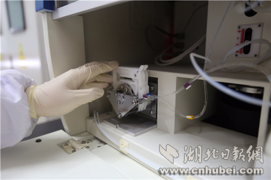 082435620.jpg 222.jpg